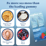 Load image into Gallery viewer, Super Berry Sea Moss Refresher Sample Stick Pack